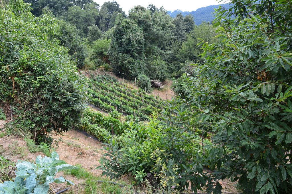 Agriturismo E Turre Serrastretta 외부 사진