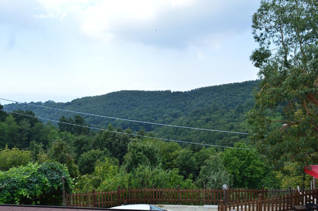 Agriturismo E Turre Serrastretta 외부 사진