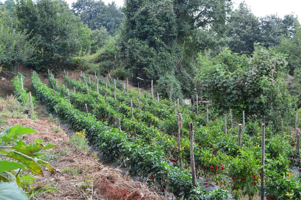 Agriturismo E Turre Serrastretta 외부 사진